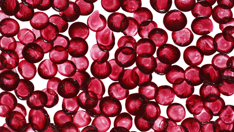 INNER-FESTIVAL SERIES