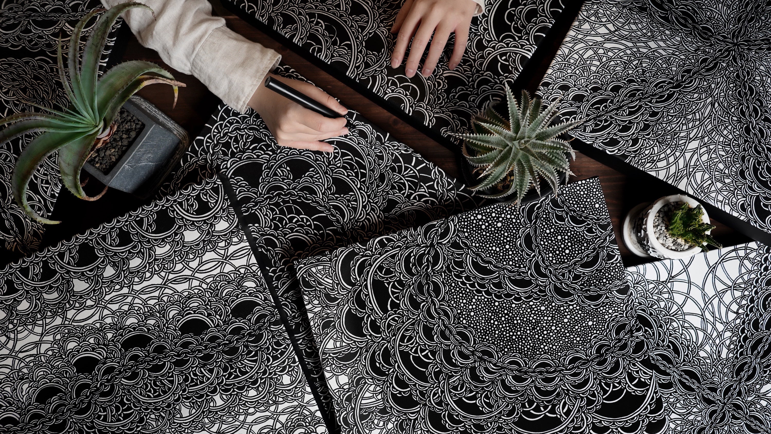 BIOLOGICAL DRAWINGS – NAHO ISHII ONLINE STORE | 石井七歩公式通販