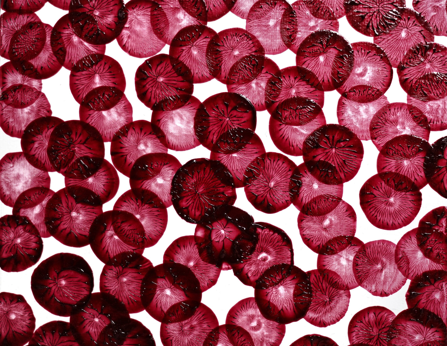 INNER FESTIVAL #24 20x20cm