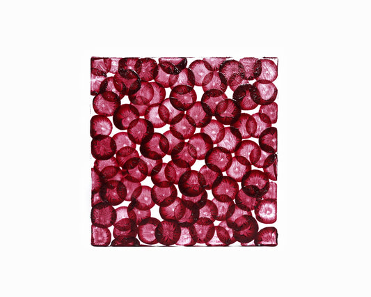 INNER FESTIVAL #21 20x20cm